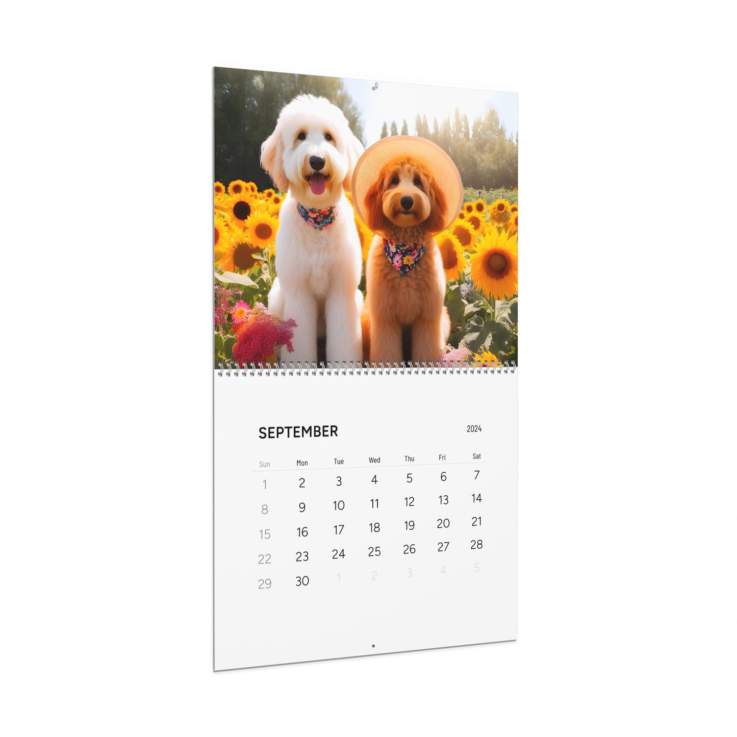 Doodles of all Colors - Wall Calendars (2025)