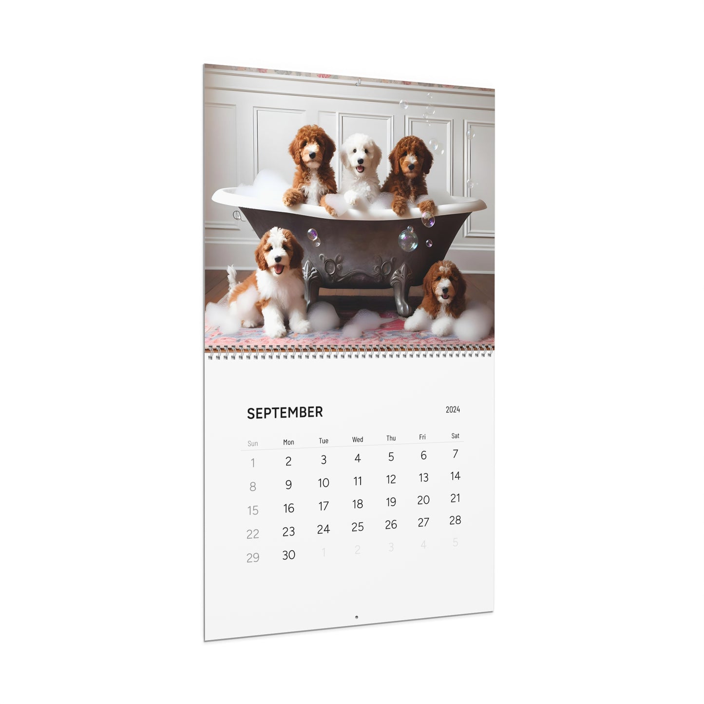 Doodles of All Colors - Wall Calendars (2025)