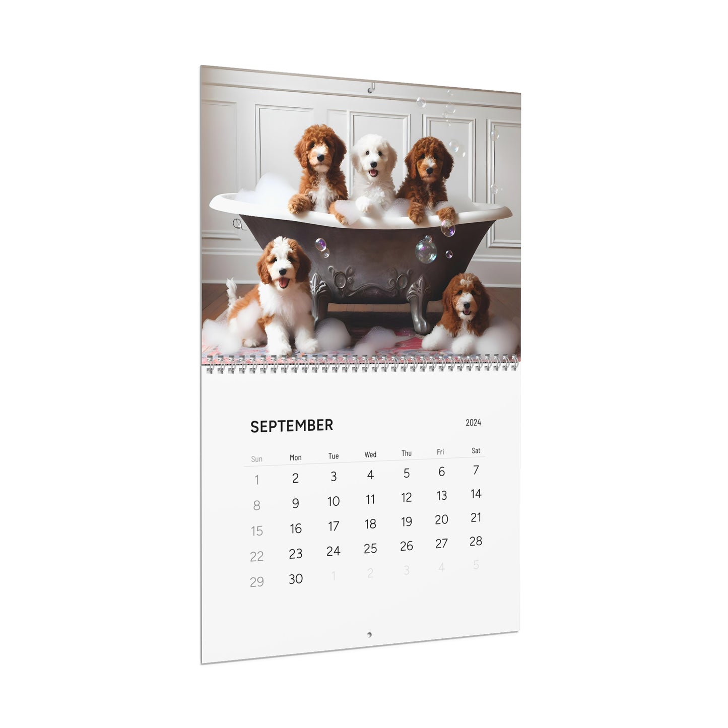Doodles of All Colors - Wall Calendars (2025)