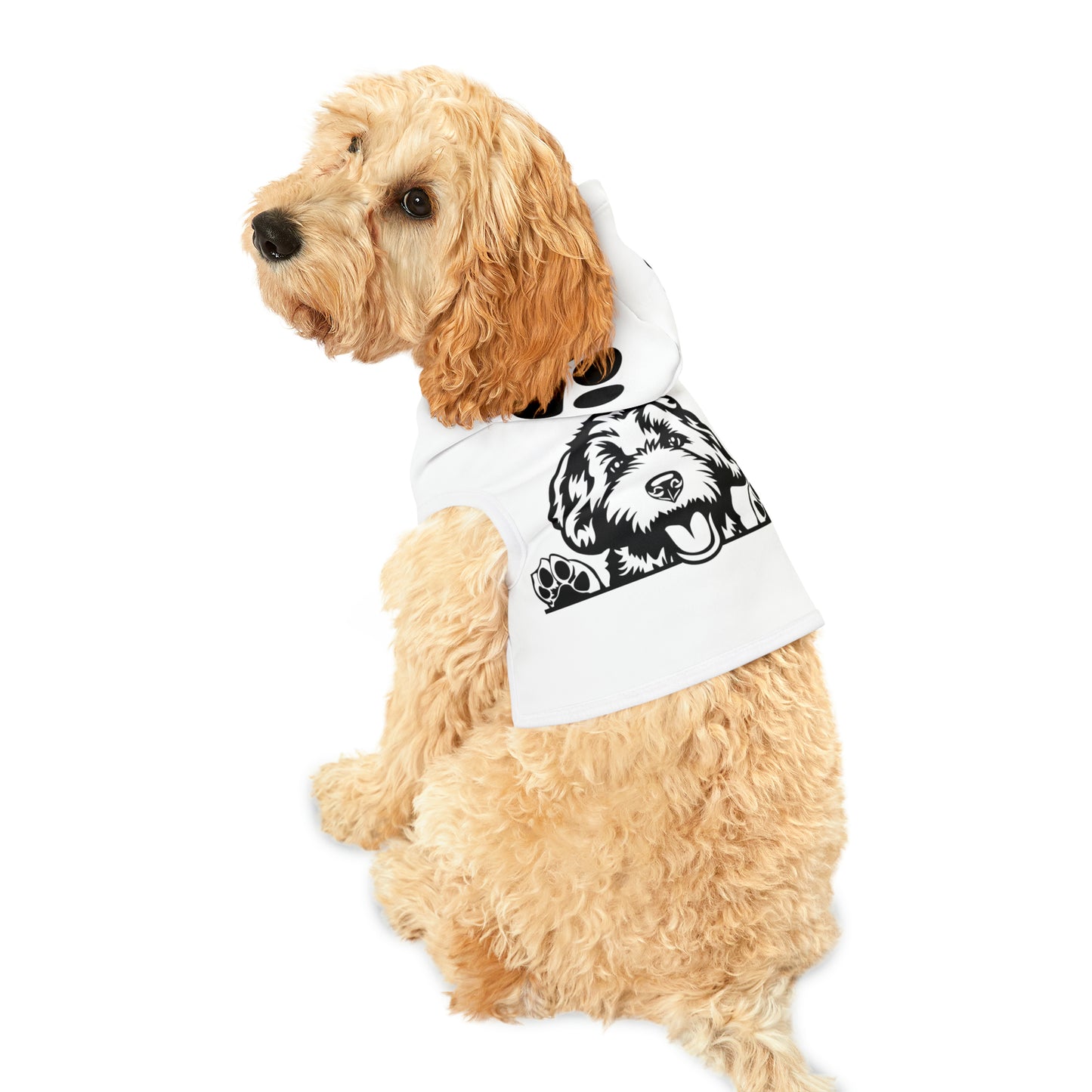 Doodle Pet Hoodie