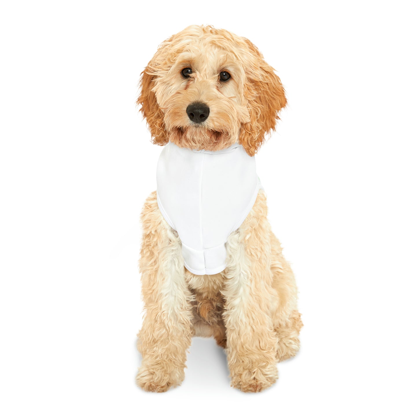 Happy Doodle St. Patrick's Day - Adorable Pet Hoodie