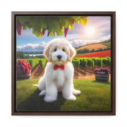 White Doodle at Winery - Wooden Gallery Canvas Picture - Square Frame - Nice!