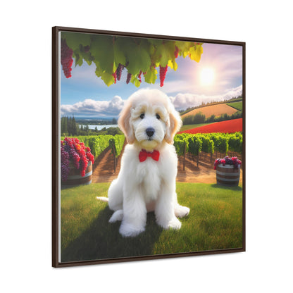 White Doodle at Winery - Wooden Gallery Canvas Picture - Square Frame - Nice!