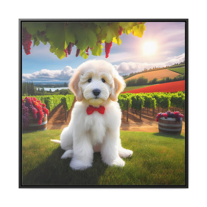 White Doodle at Winery - Wooden Gallery Canvas Picture - Square Frame - Nice!