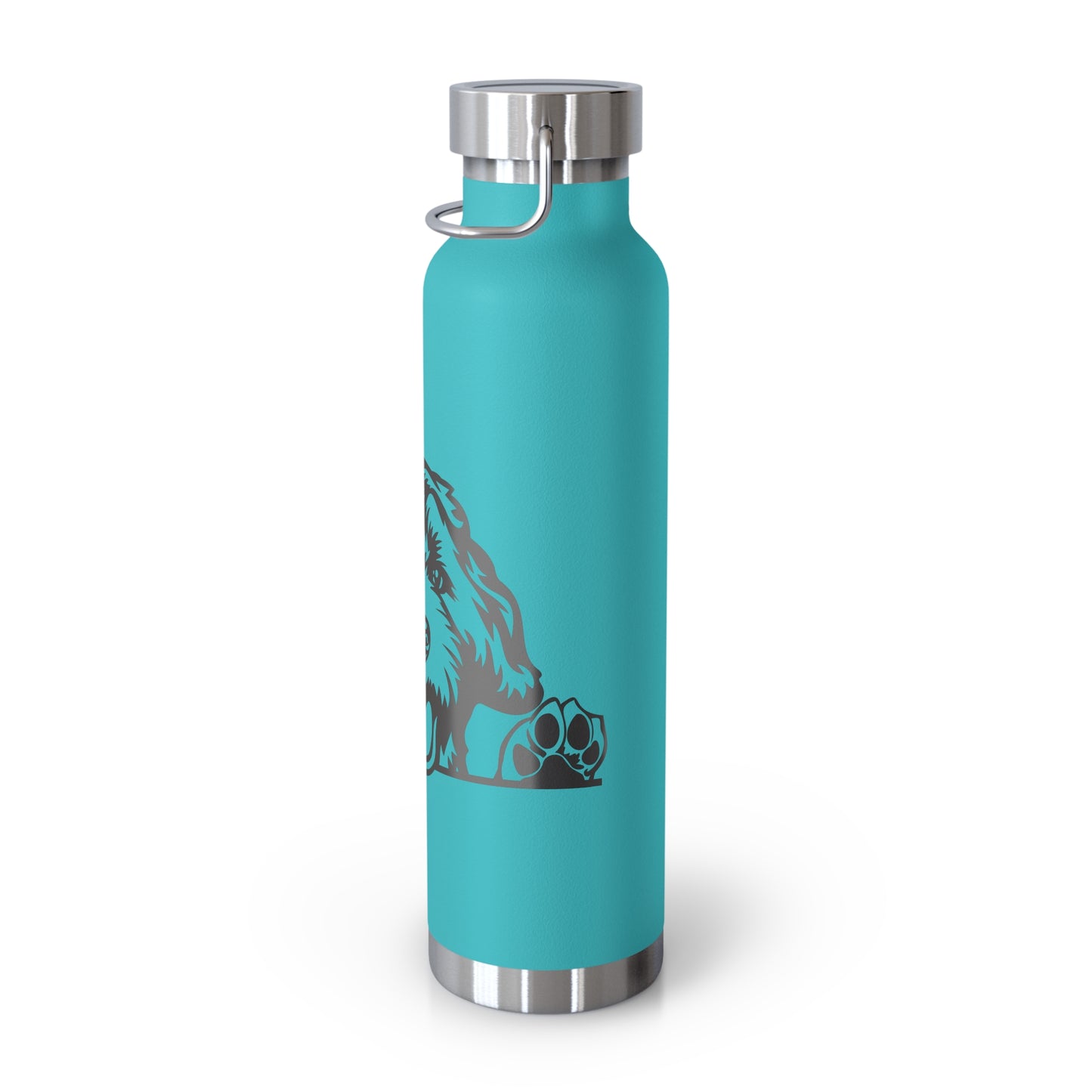 Doodster Copper Vacuum Insulated Bottle, 22oz