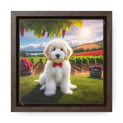 White Doodle at Winery - Wooden Gallery Canvas Picture - Square Frame - Nice!