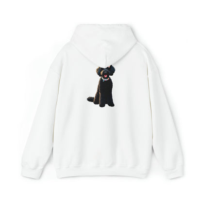 Black Doodle Unisex Heavy Blend™ Hooded Sweatshirt