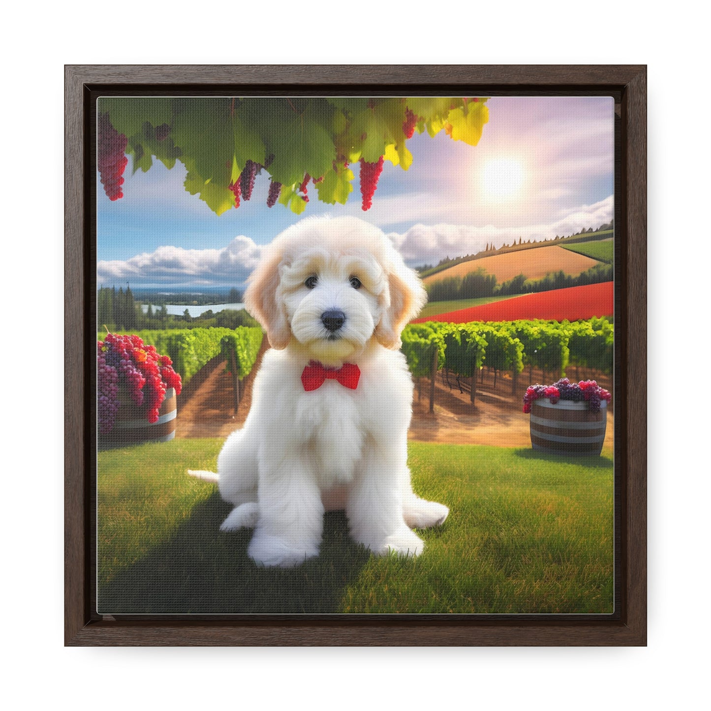 White Doodle at Winery - Wooden Gallery Canvas Picture - Square Frame - Nice!