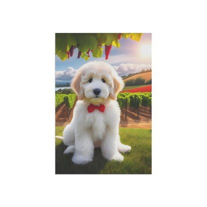 White Doodle at Winery - Garden & House Banner