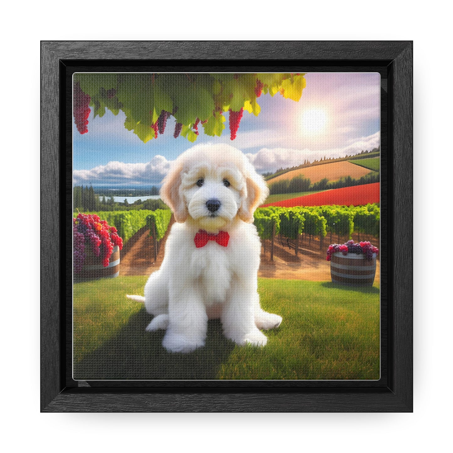 White Doodle at Winery - Wooden Gallery Canvas Picture - Square Frame - Nice!