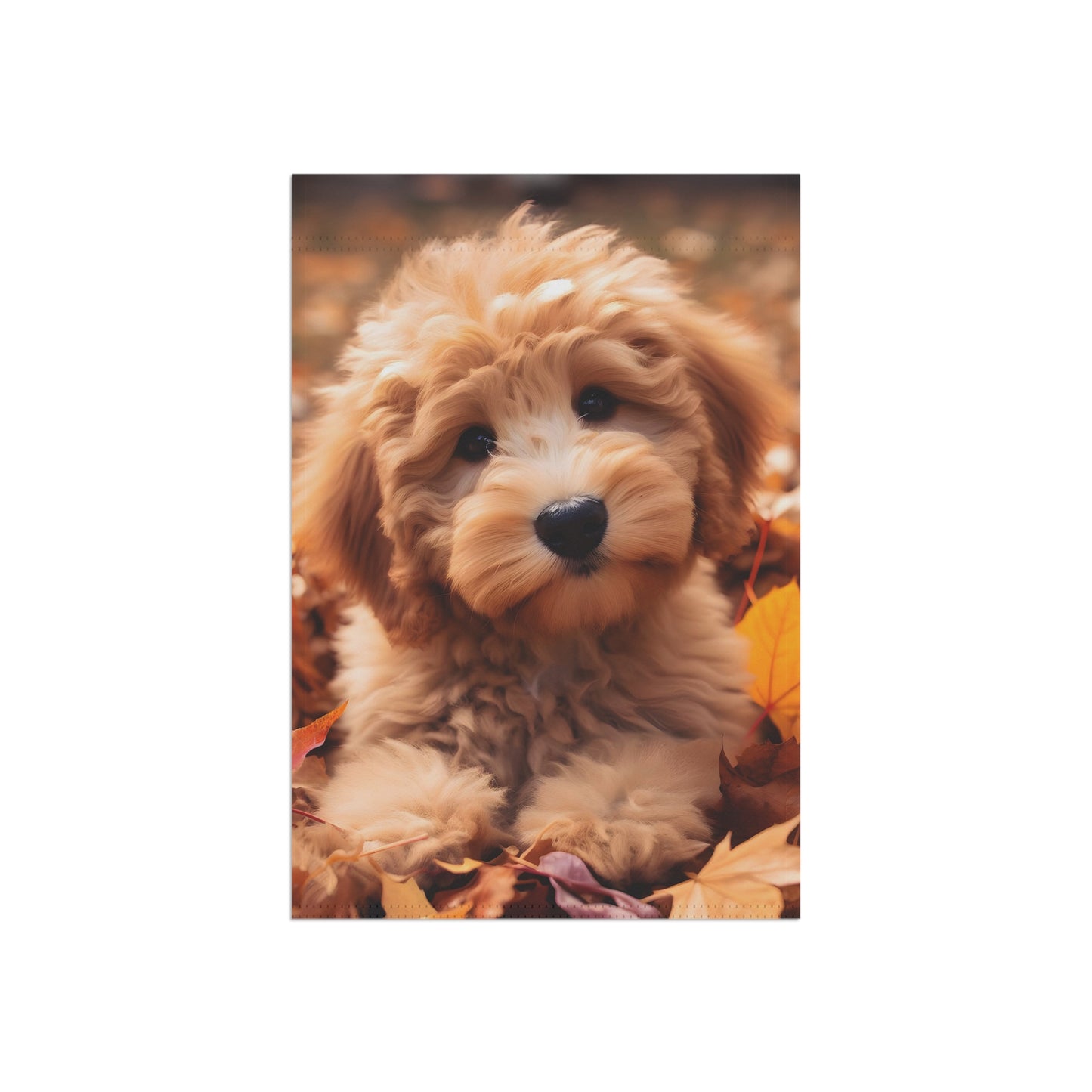 Fall Puppy Garden & House Banner