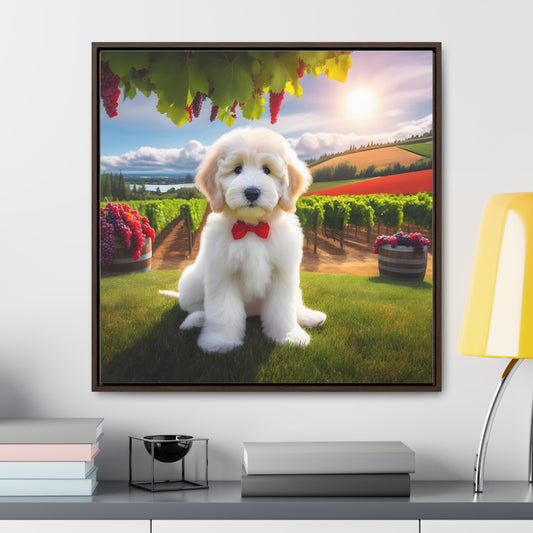 White Doodle at Winery - Wooden Gallery Canvas Picture - Square Frame - Nice!