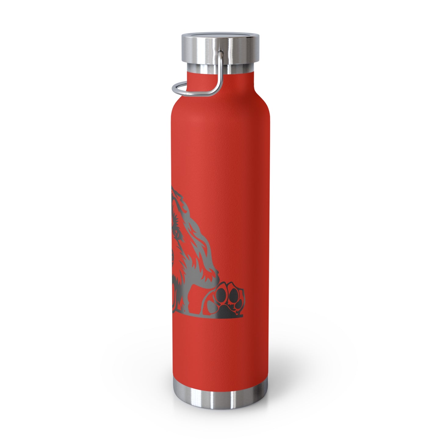 Doodster Copper Vacuum Insulated Bottle, 22oz