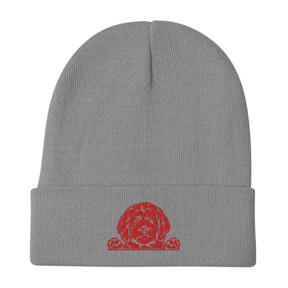 Doodle Red Embroidered Beanie