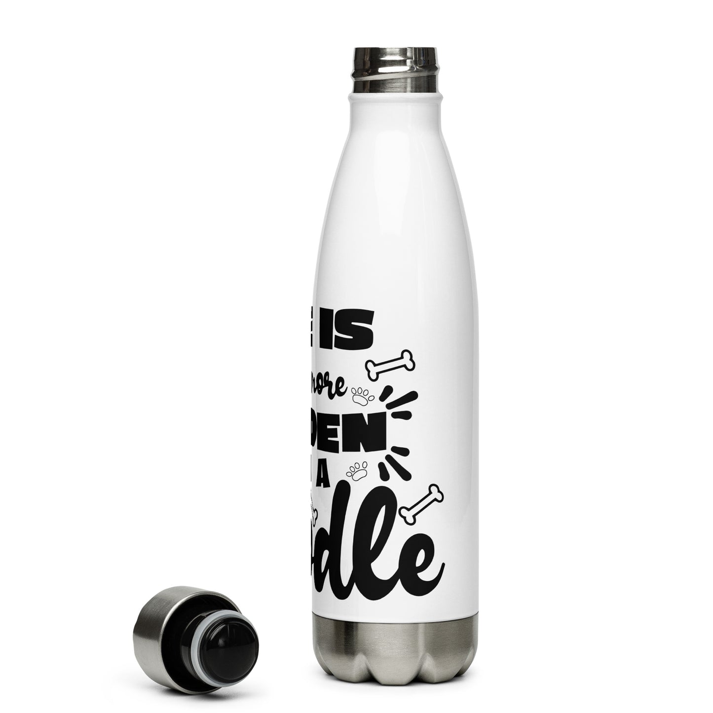 Life is Golden Stainless Steel Water Bottle