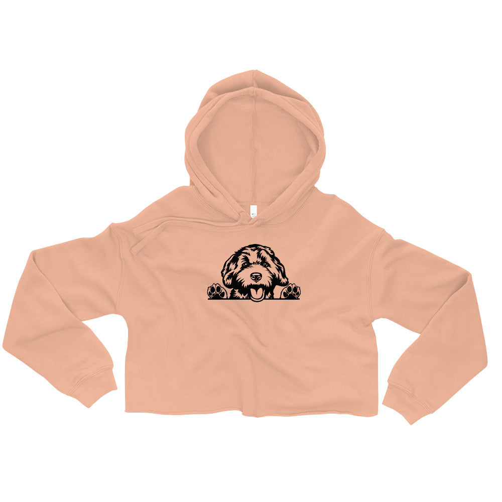 Dood Crop Hoodie